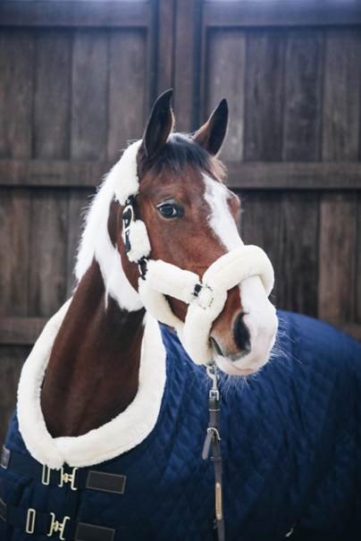 Sfeerfoto Kentucky showdeken met artificieel schapenvacht + halster