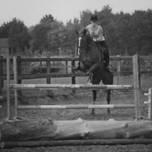 foto springen