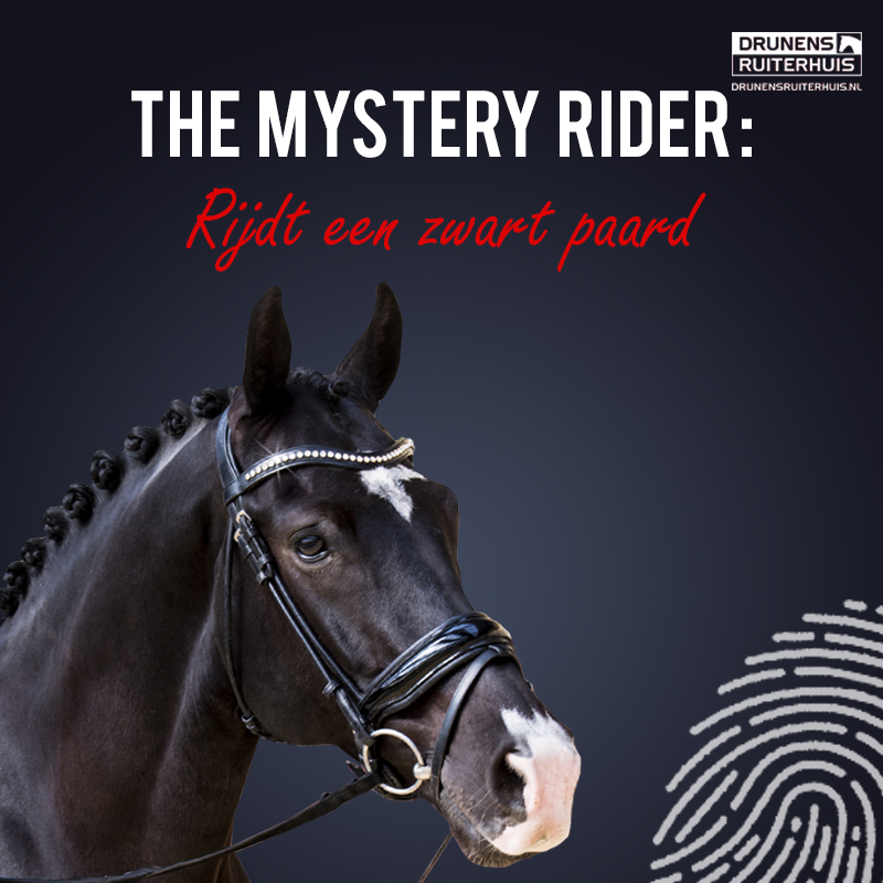foto mystery rider paard