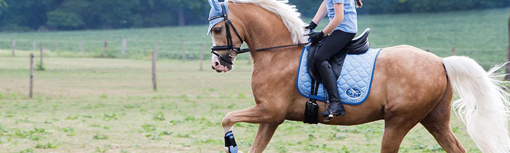 foto met beugel