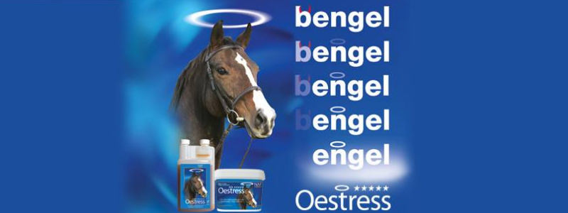 naf bengel oestress