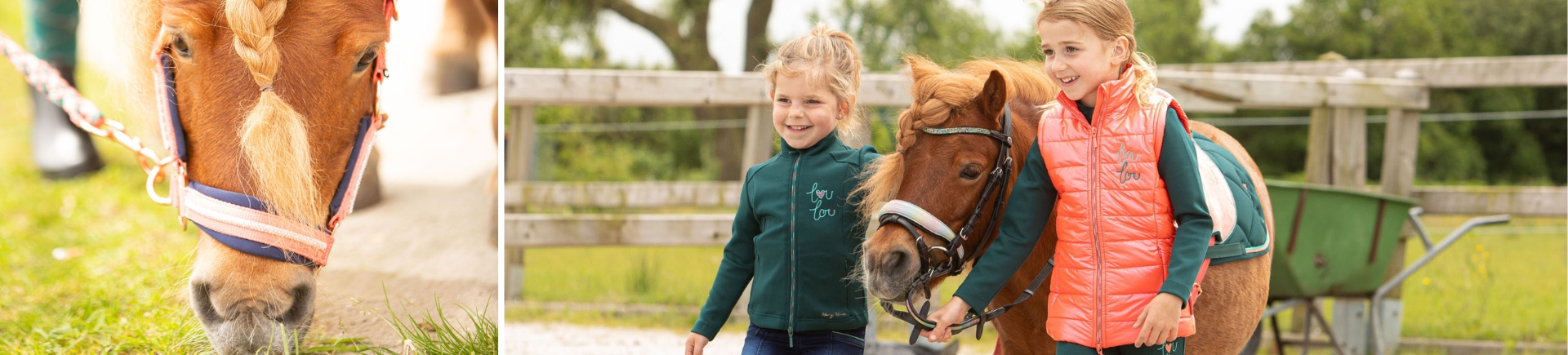 Harry's Horse Zomer 2025 Harry's Horse Zomer 2025