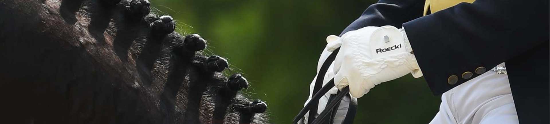 Paardrijhandschoenen