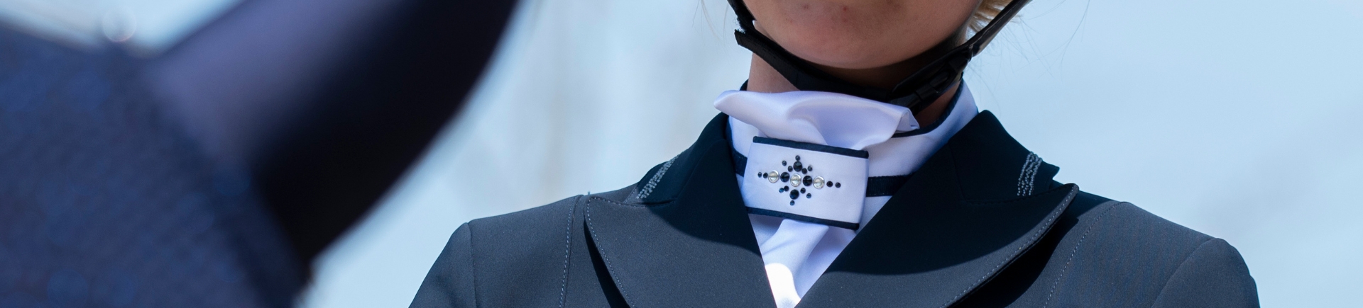 Plastrons en plastronspelden