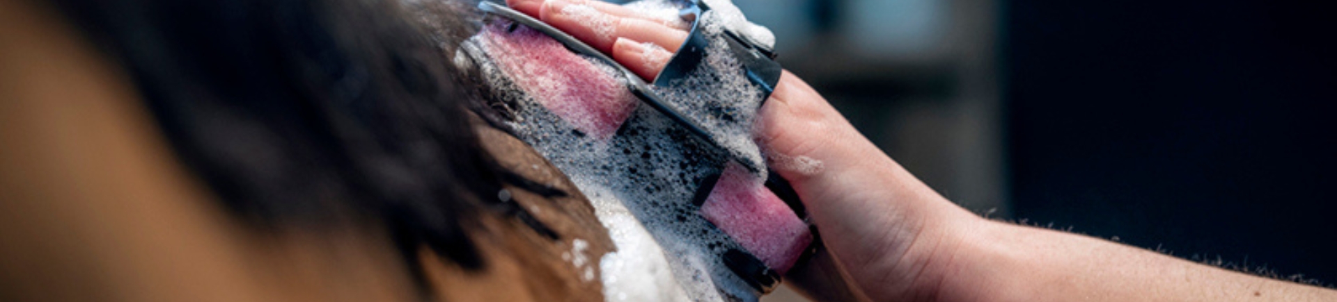 Wassen Wassen