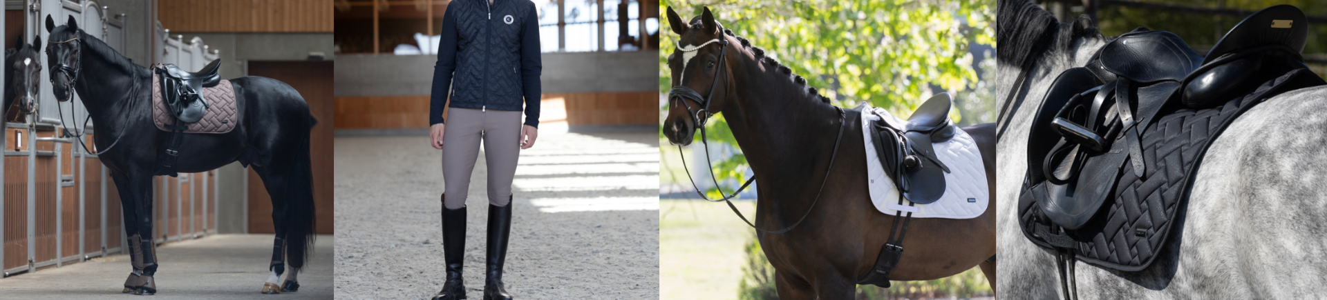 Kingsland Zomer 2026