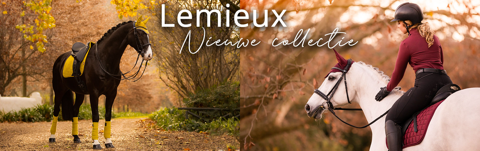 LeMieux AW 2021 wintercollectie