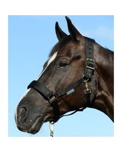 Comfort Halter extra breed