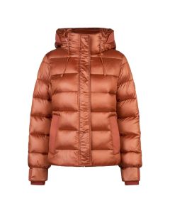 Winterjas Pikeur Quilted 8016 Selection 801601-145