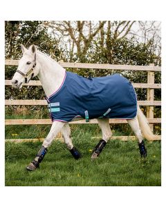 Regendeken Amigo Hero 900 Turnout 0gram Pony