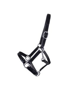 Veulenhalster DR Trend Laque Mini