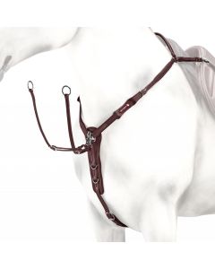 Borsttuig Equipe shaped