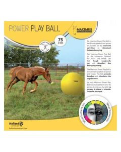 Power Play Ball Maximus Stalbenodigdheden
