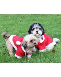 Hondenjas QHP kerst