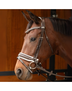 Trenshoofdstel Harry's Horse Chique + teugel