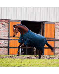 Winterdeken DR Turnout 100 grams 600 Denier Ripstop