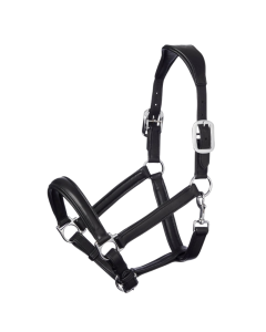 Halster LeMieux Anatomic Leather