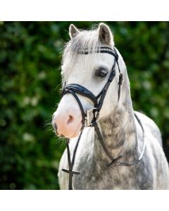 Trenshoofdstel HB Showtime Stockholm Special