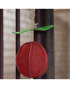 Paardenspeelgoed Euroriding Apple P26