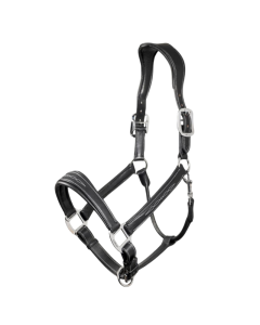 Halster LeMieux Leather LM323