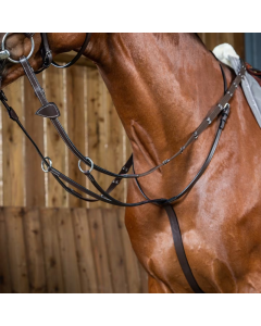 Martingaal Dyon Running