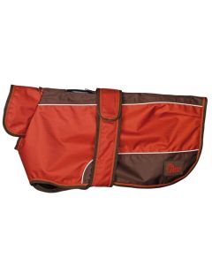 Hondenjas Harry`s Horse Twotone WI22