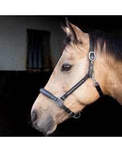 Halster Harry's Horse Finesse Crystal