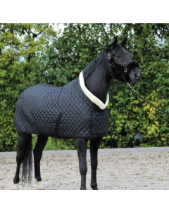 Zweetdeken HB Showtime Desir P26