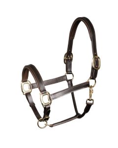 Halster Harry's Horse Leer