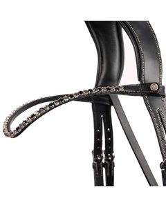 Frontriem Montar Fair Crystal Curved