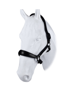 Halster DR Trend Matt