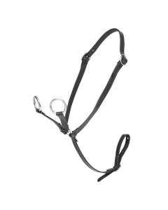 Toy Pony LeMieux Martingaal