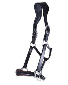 Halster DR Trend Flag