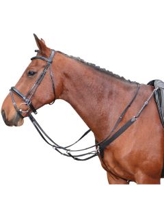 Borsttuig Harry's Horse elastisch