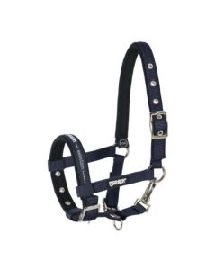 Eskadron Halster veulen