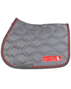 Zadeldek springen Equipe