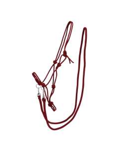 Touwhalster QHP Color met teugels