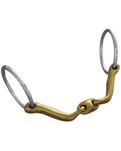 Watertrens Neue Schule Verbinded