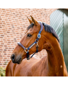 Halster Horseware Signature