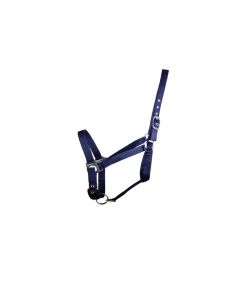 Halster DR nylon