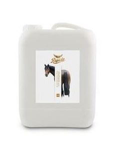 Shampoo Rapide met Aloe Vera 5 liter