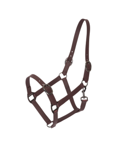Halster Imperial Riding Super-proof Matte KL10325000