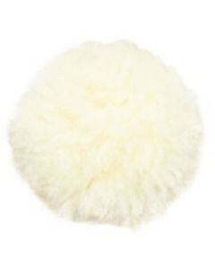 Neusriembontje Mattes Mexicaans