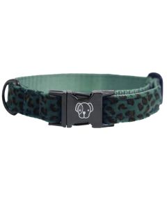 Hondenhalsband Kentucky