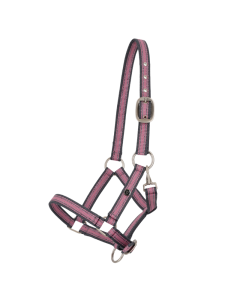 Halster QHP Veulen Collection 1210