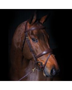Trenshoofdstel Dyon Anatomic Gecombineerd