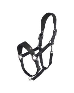 Halster Imperial Riding Cloud Dancer
