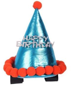 Verjaardagshoedje QHP paard