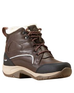 Stalschoenen Ariat Telluride H20 Insulated
