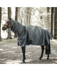 Regendeken Kentucky Hurricane Horse